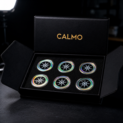 Disco Magnetico Calmo