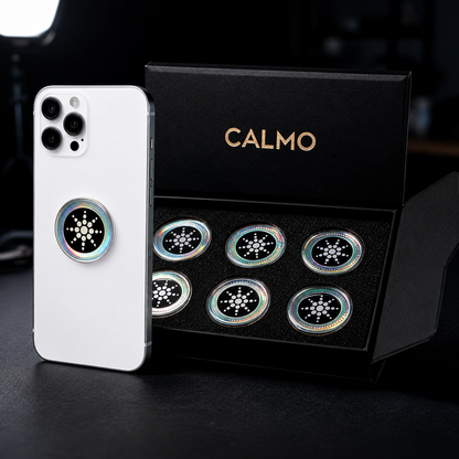 Disco Magnetico Calmo